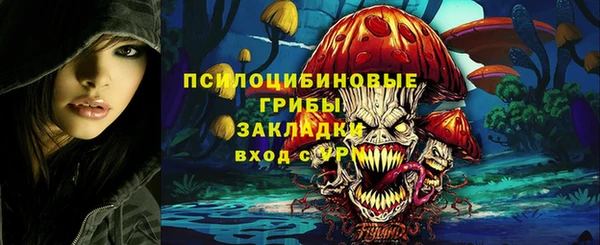соль ск Волосово