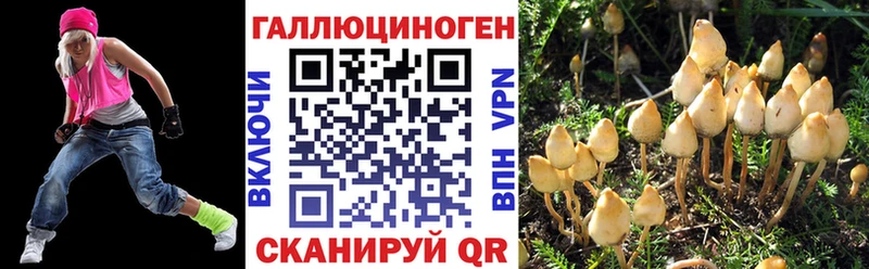 мега зеркало Новоржев Галлюциногенные грибы ЛСД
